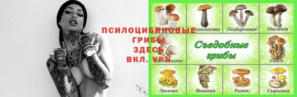 дмт Баксан