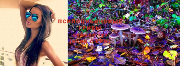 ГАЛЛЮЦИНОГЕННЫЕ ГРИБЫ Балахна
