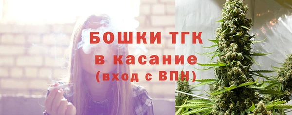 ГАЛЛЮЦИНОГЕННЫЕ ГРИБЫ Балахна