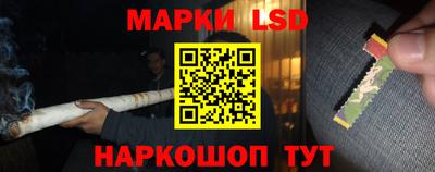 гашик Моздок