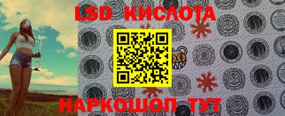 гашик Моздок