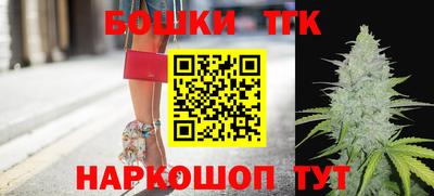 гашик Моздок