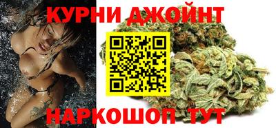 гашик Моздок