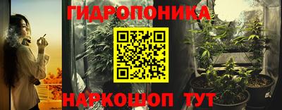 гашик Моздок