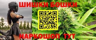 гашик Моздок