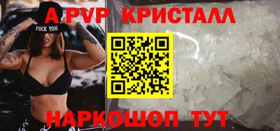 гашик Моздок
