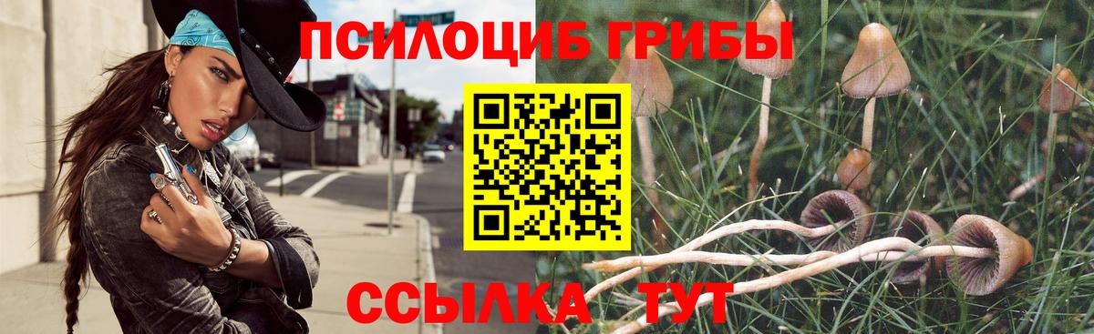 Ульяновск  Галлюциногенные грибы мицелий  Вход с VPN 